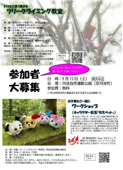 チラシ（府民向け）_ページ_1.jpg