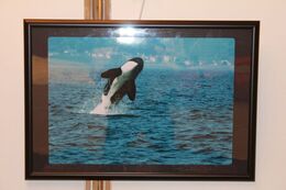 108 海の狩人.JPG